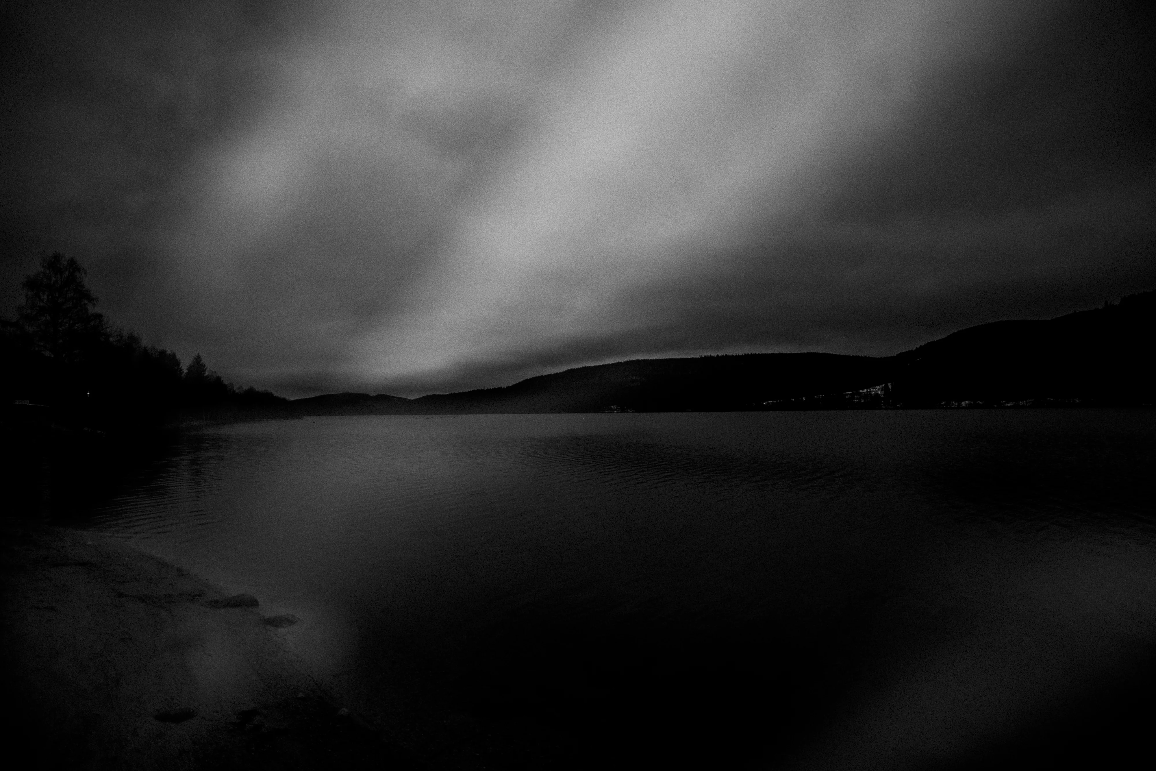Black Forest study 19